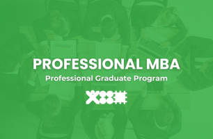 Professional MBA